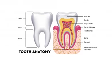جنس دندان چیست؟